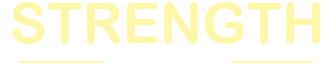 創(chuàng)新能力